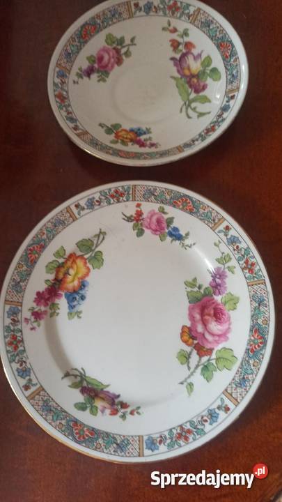 Mlecznik SHELLEY ENGLAND Zachwycający Gdańsk