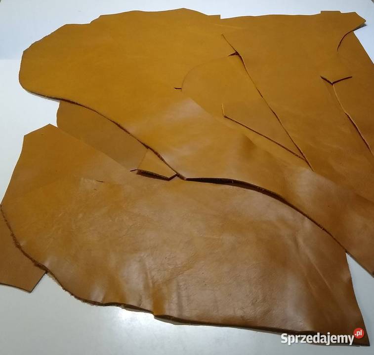 Skóra 450 Licowa Włoska duże średnie i małe pomorskie Gdańsk