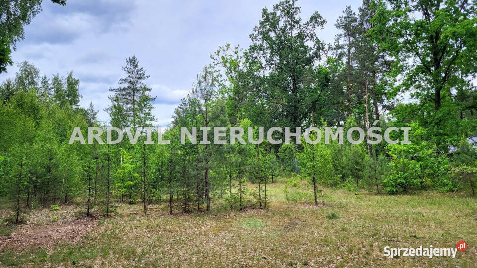 sprzedaży gruntu 995m2 Horodniany telefon