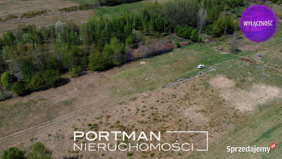 Cicha i zielona okolica warunki zabudowy polna Sprzedaż Dziechciniec