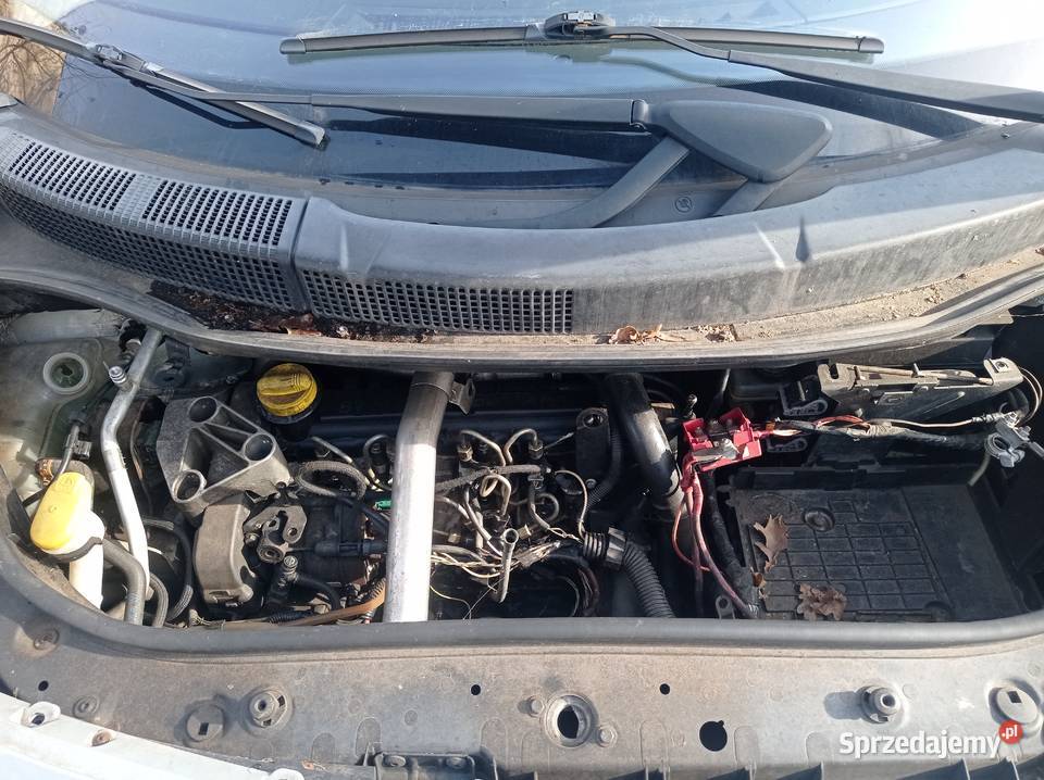 Renault Scenic 15 dCi 74 kW 2004 r dawca części Szklarka Myślniewska