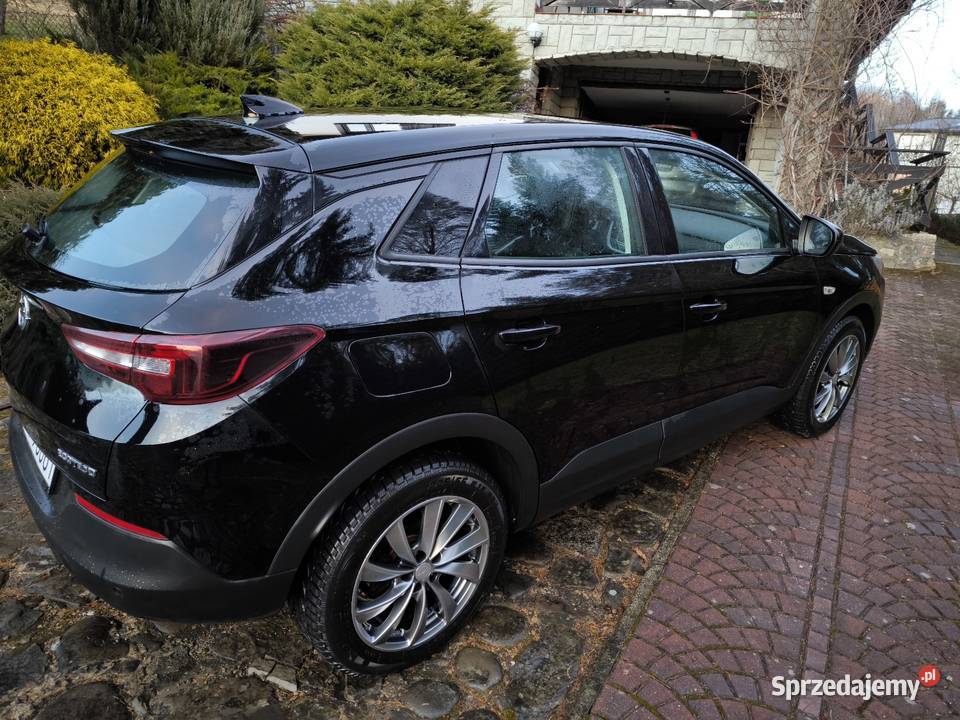 Opel Grandland X Żywiec