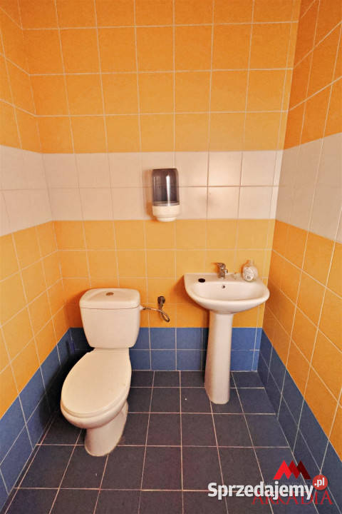 Lokal sprzedam 435m2 Włocławek