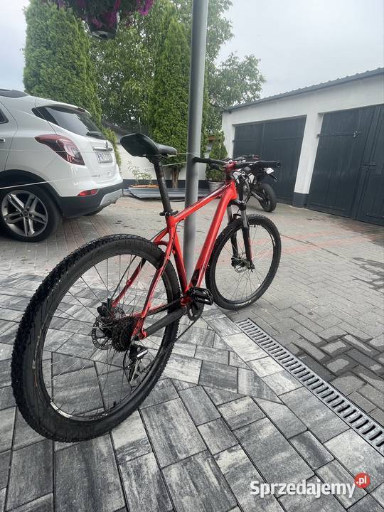 Kellys spider 30 Opalenica