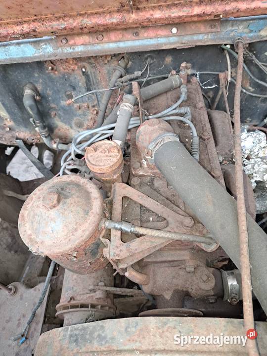 Willys MBCJ2AM38 Izabelin B
