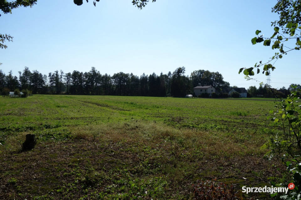 Skoczów Ochaby 157ha z częścią budowlaną i pod Sprzedaż