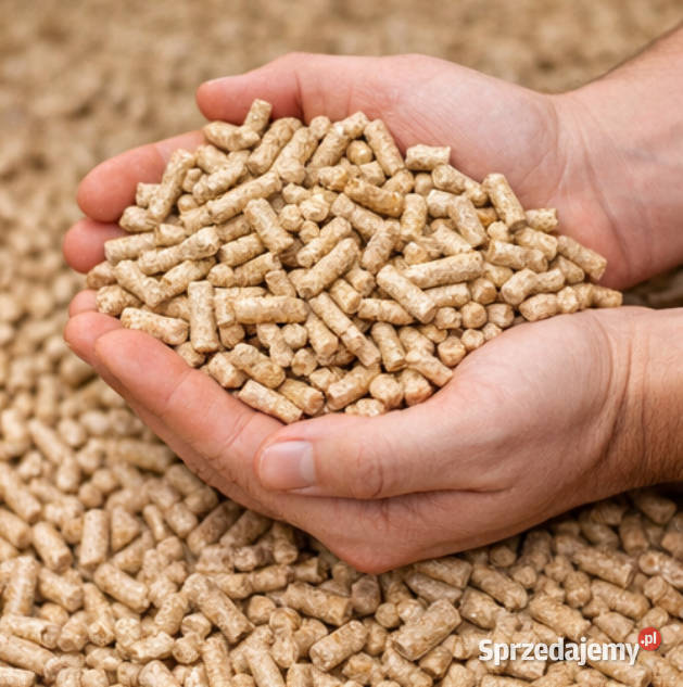 Pellet Drzewny novaPellet Opał Gdańsk