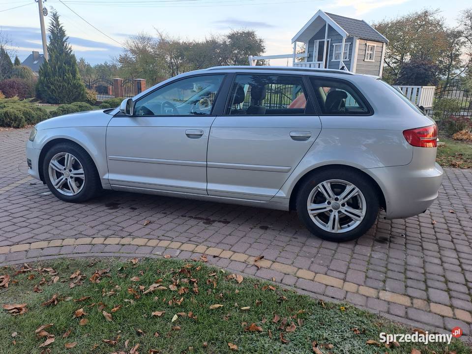 Audi a3 8p lift 20tdi