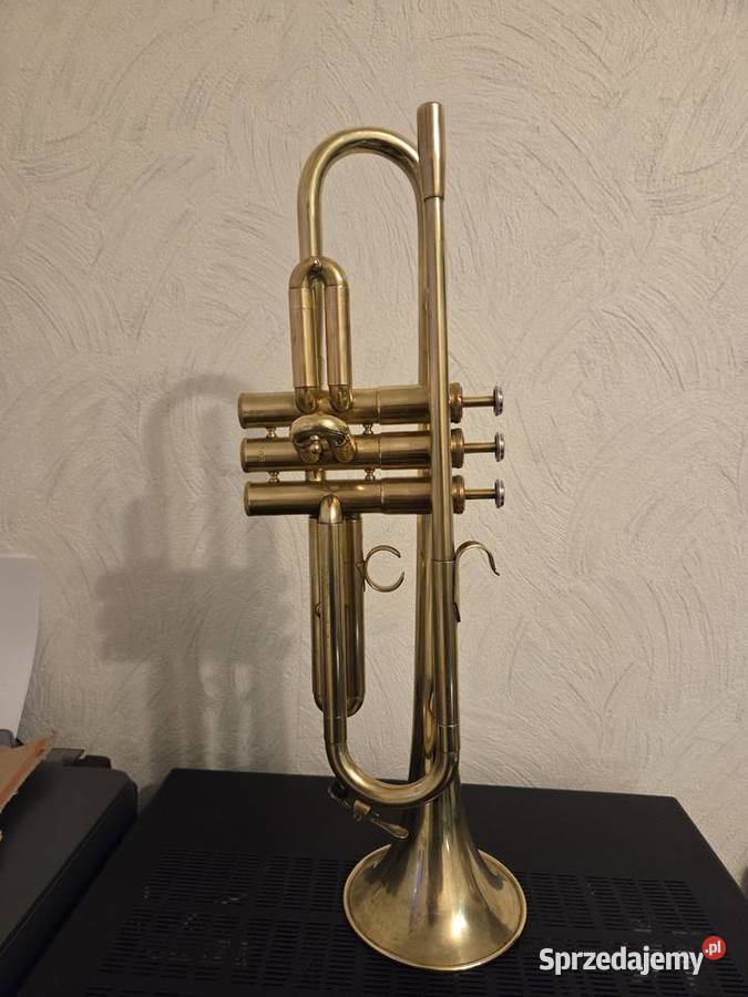 Trąbka WFDiP Polmuz Łęczyca