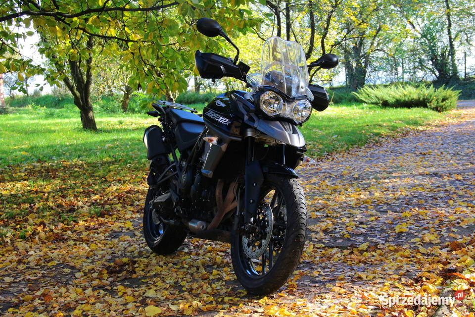 Triumpt Tiger 800XRx Rok produkcji 2016 Gniew