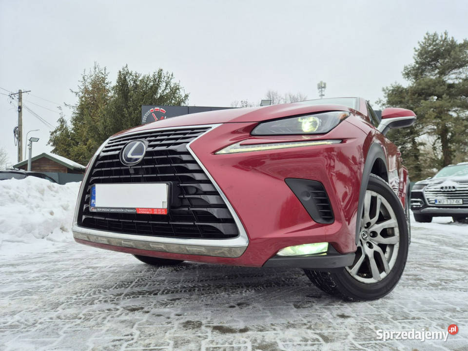 Lexus NX Bezwypadkowy I 20142021 autoalarm NX