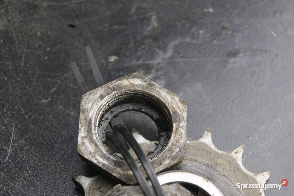 TRIUMPH 204 ZĘBATKA NAKRĘTKA Rybnik sprzedam