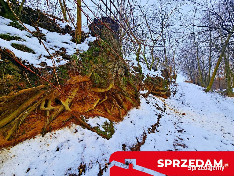 Drewniany dom z dużą działką pole sad las Sprzedaż Karczmiska Pierwsze