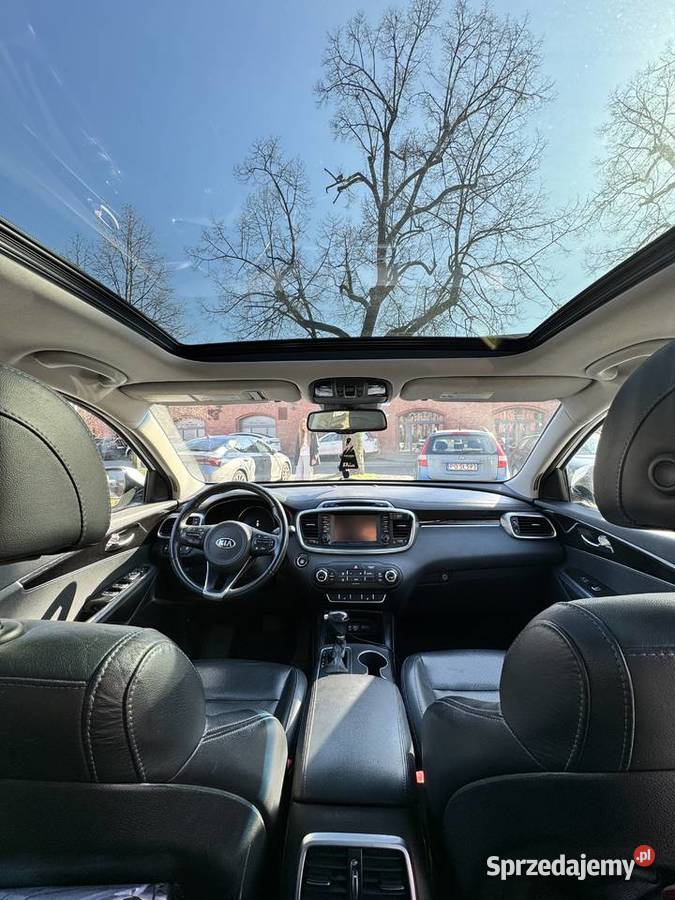 Kia Sorento 2017 silnik 33