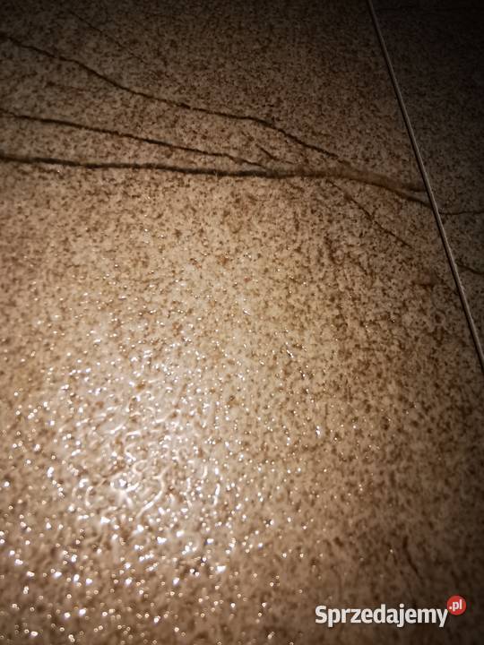 Gres szkliwiony Soria Oro 60120 Warszawa