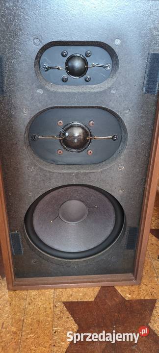 Kolumny Dual CL 173 Sochocin