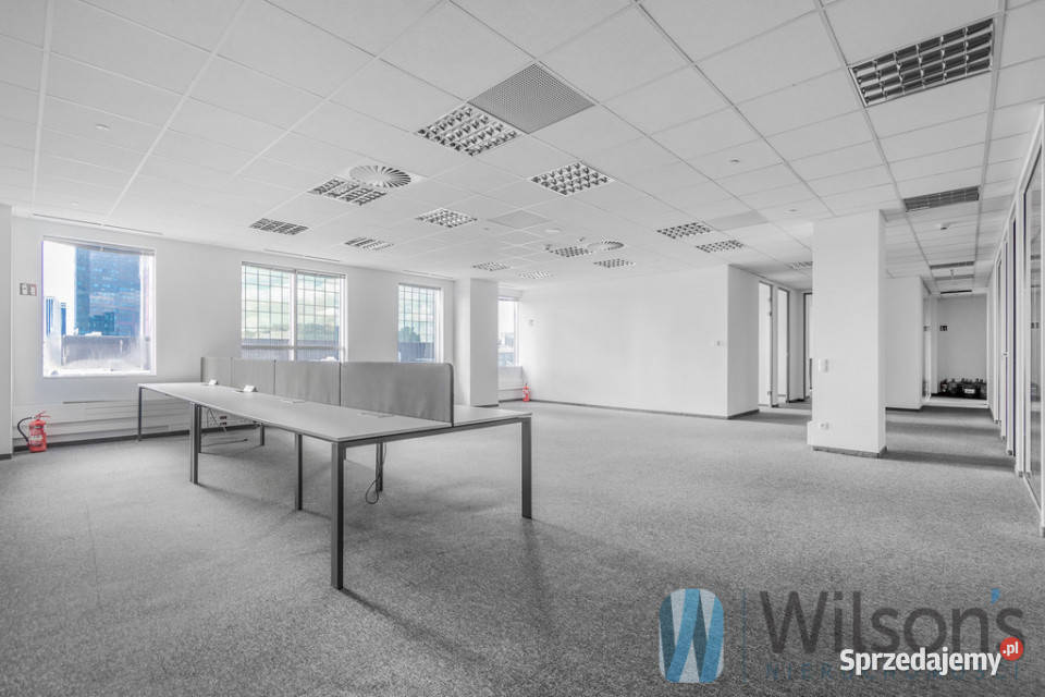 Lokal wynajmę Warszawa Emilii Plater 27165m2 mazowieckie sprzedam