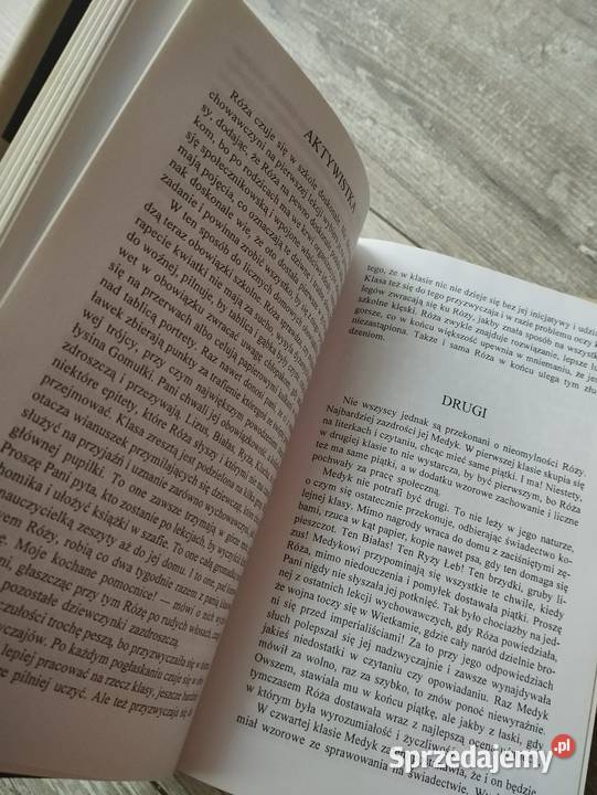 julita i huśtawki hanna kowalewska Poznań