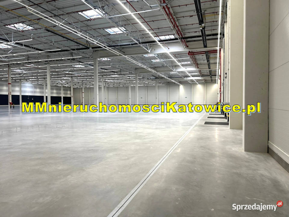 Magazyny Mysłowice A4 i S1 do wynajęcia biura 10625m2