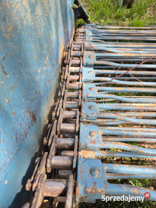 Kopaczka elewatorowa do ziemniaków