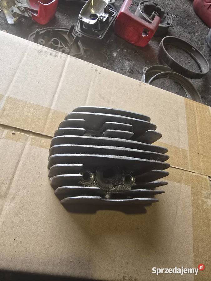 Glowica jawka Gorzów Wielkopolski