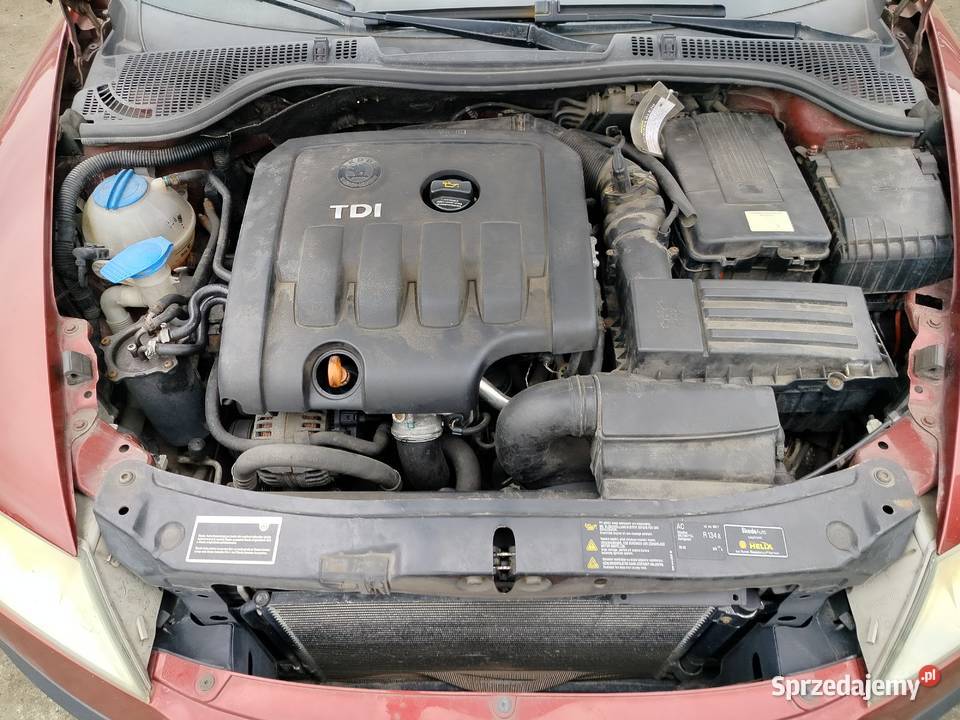 Części Skoda Octawia 2 TDi 20 zachodniopomorskie Przybiernów