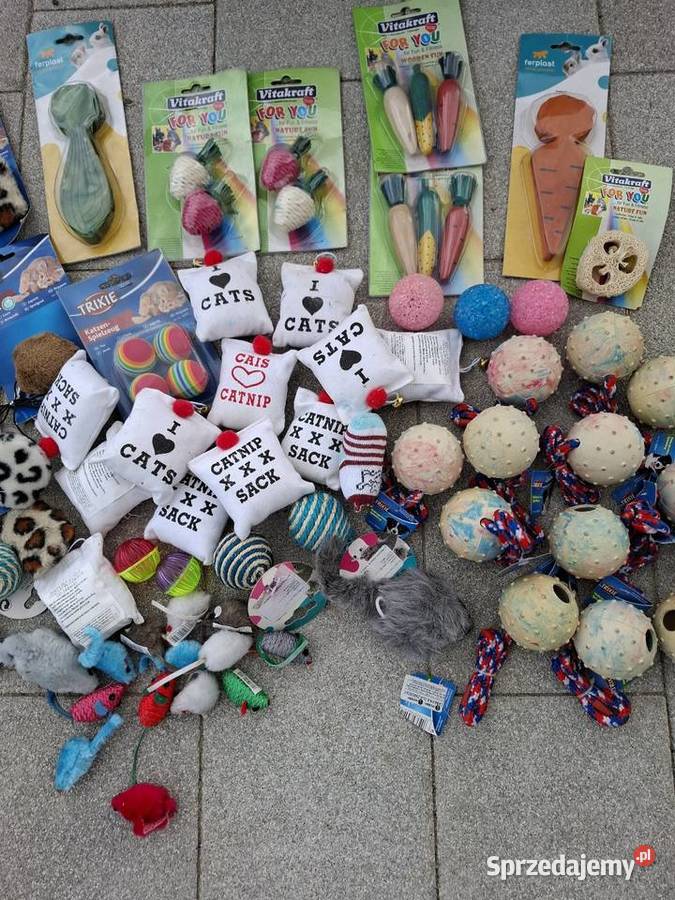 Zabawki kota psa królika mazowieckie Kajetany