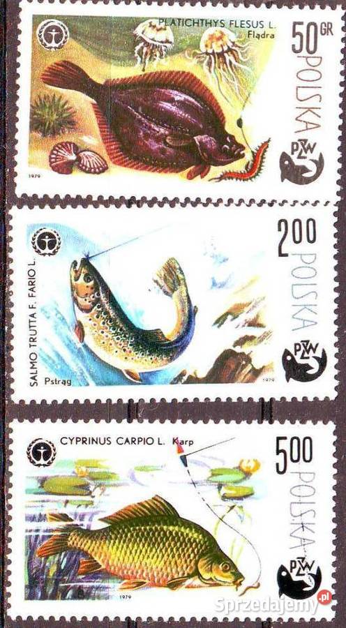 Zn Fi 2470 46 1979 Gliwice