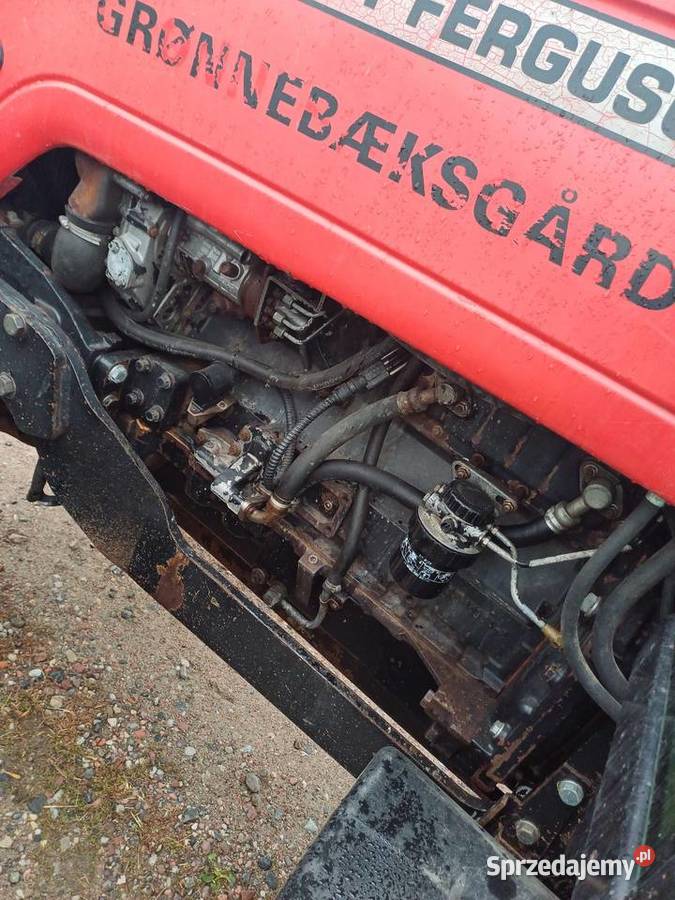 Massey ferguson 6290 Massey Ferguson Płonne-Plebanka