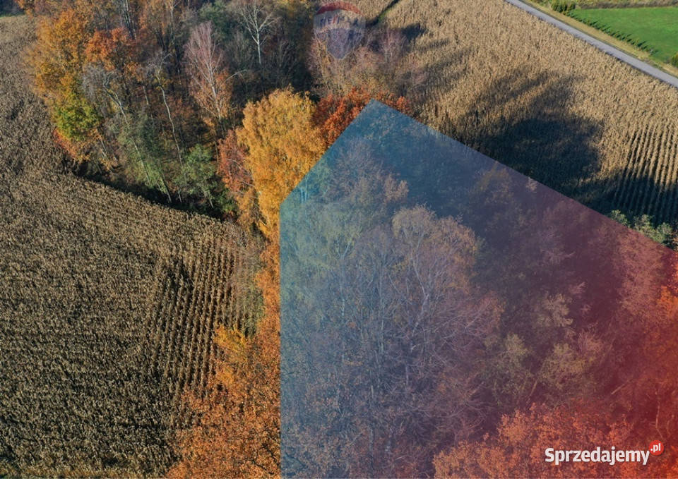 Bajkowa Działka w pięknym otoczeniu Osiek