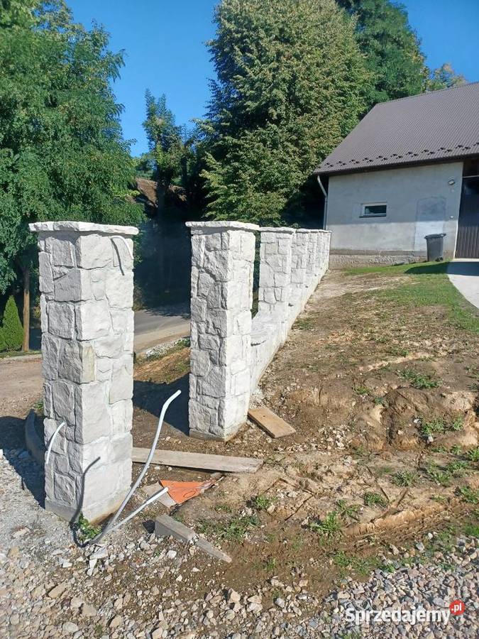 PIASKOWIEC nieregularny białoszary dzikówka mazowieckie Szydłowiec