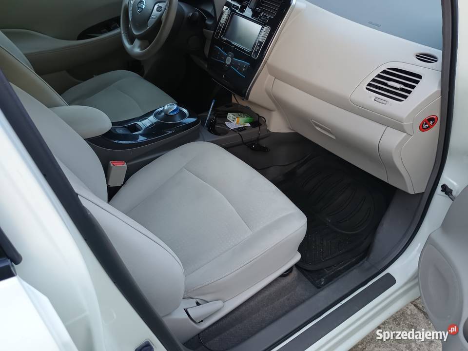 Nissan Leaf Rzeszów