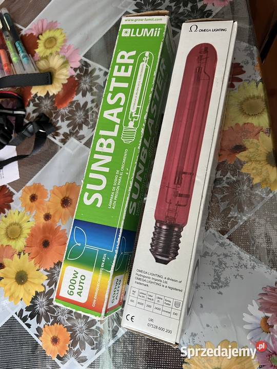 Żarówki do upraw 600 W E40 Sodowe lubelskie Lublin