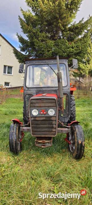 Massey Ferguson MF 235240 Massey Ferguson Dąbie sprzedam