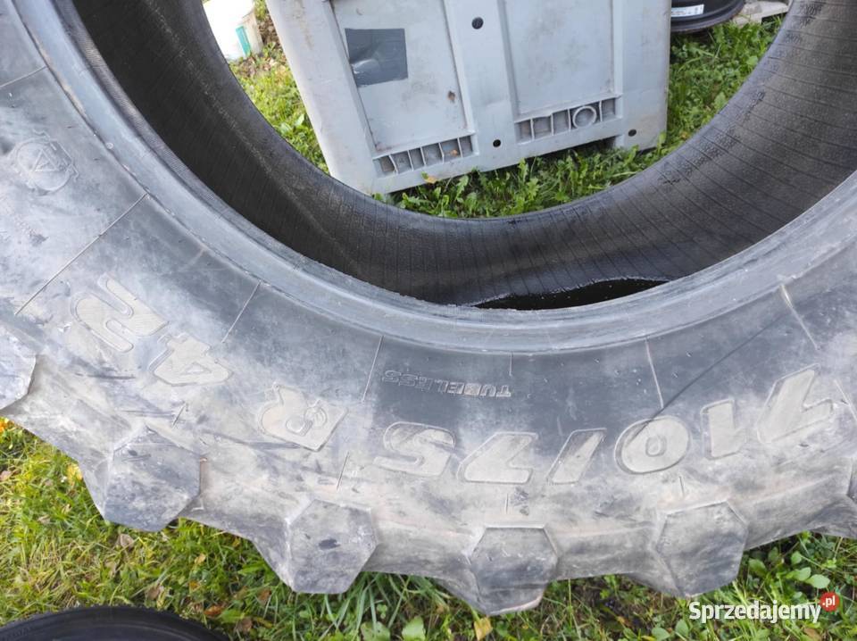 Trelleborg TM1000 71075 r42 Opona wzmocniona do Biłgoraj