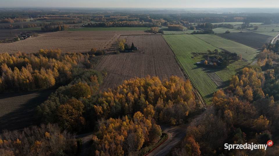 Gospodarstwo rolne Łanięta ziemia rolna 8 ha Gostynin