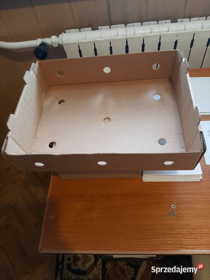Tacki Kartony na BRATKI i inne sadzonki Sinołęka sprzedam