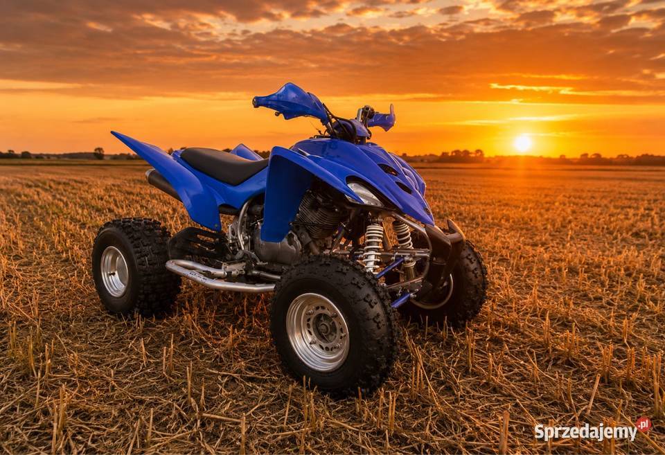 Yamaha Raptor 350 Yamaha Wielgie