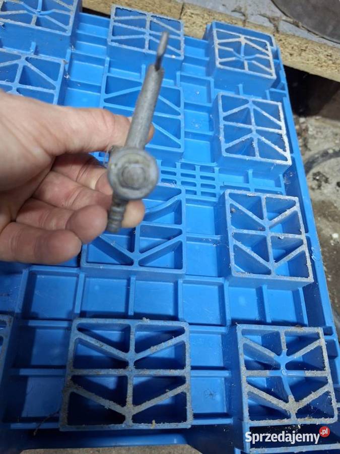 Kranik Wsk Sport Lelek Dudek Bąk