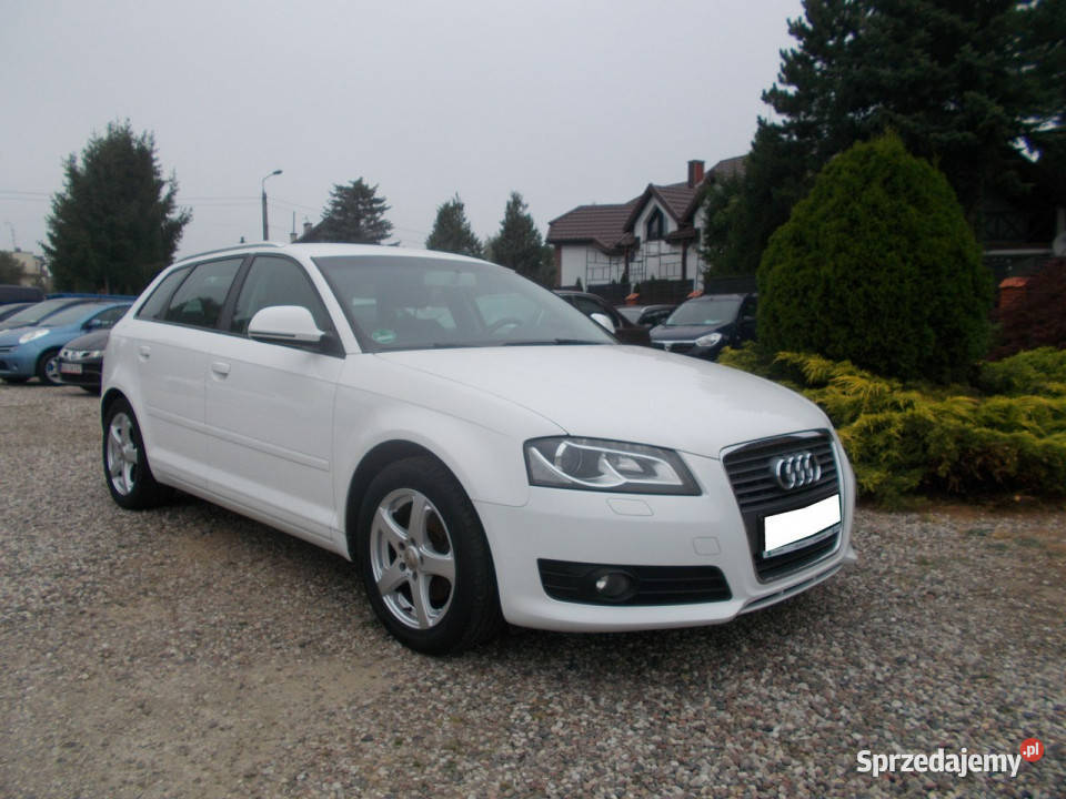 Audi A3 14 Turbo Benzyna 125Klima 158 8P 2003201 Białystok