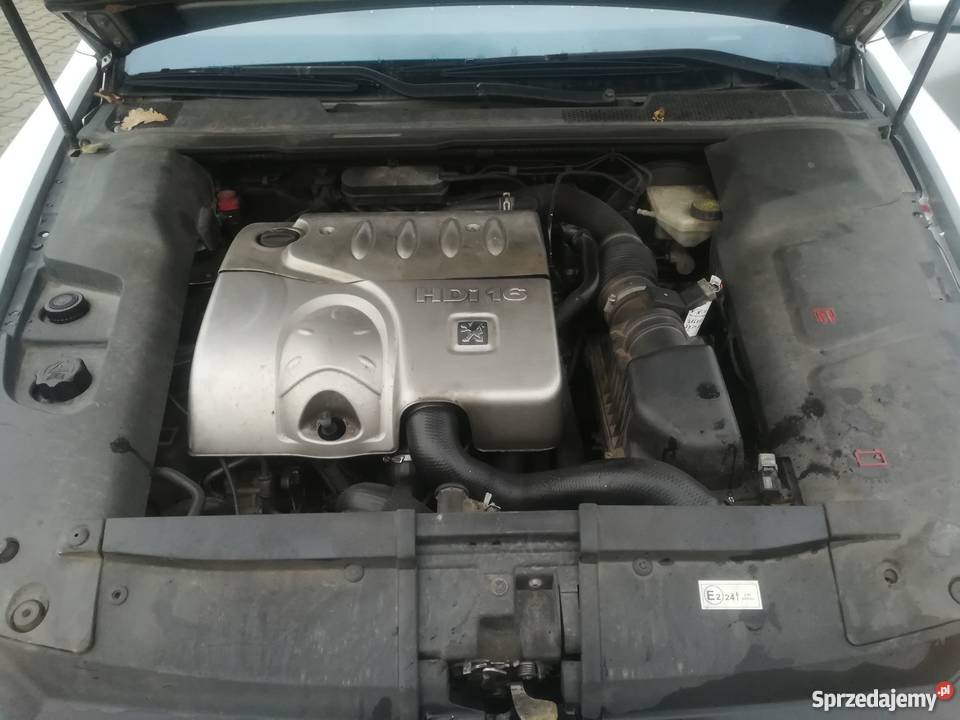 Peugeot 607 dyskretny styl i elegancja Peugeot Kozy