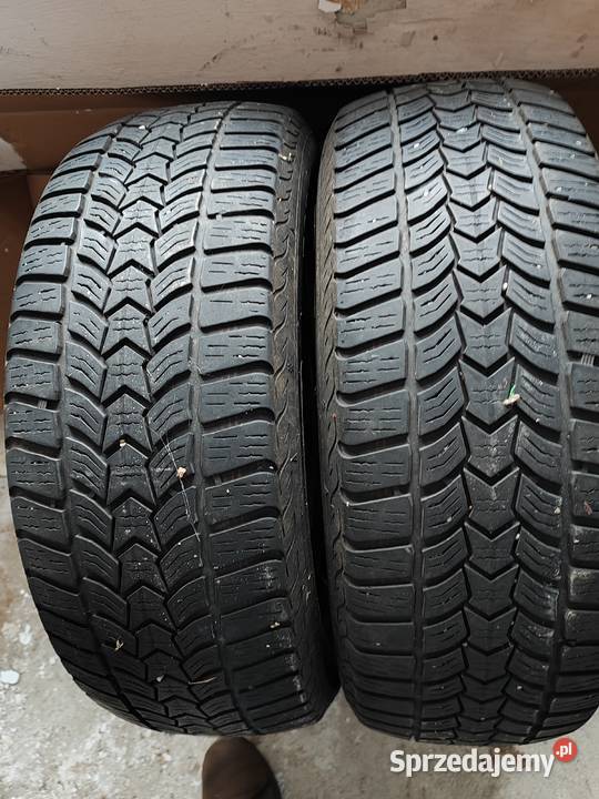 Dębica Frigo 60 Kutno