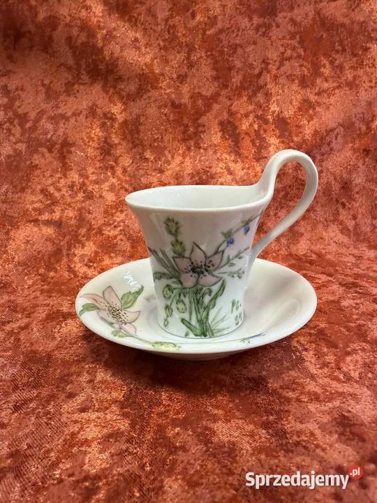 Filizanka Frstenberg mokka świętokrzyskie Kielce