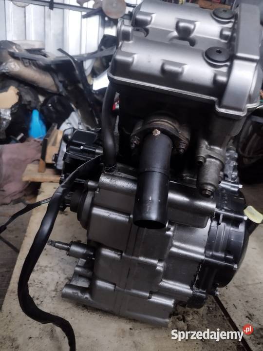 Sprzedam lubelskie Lublin