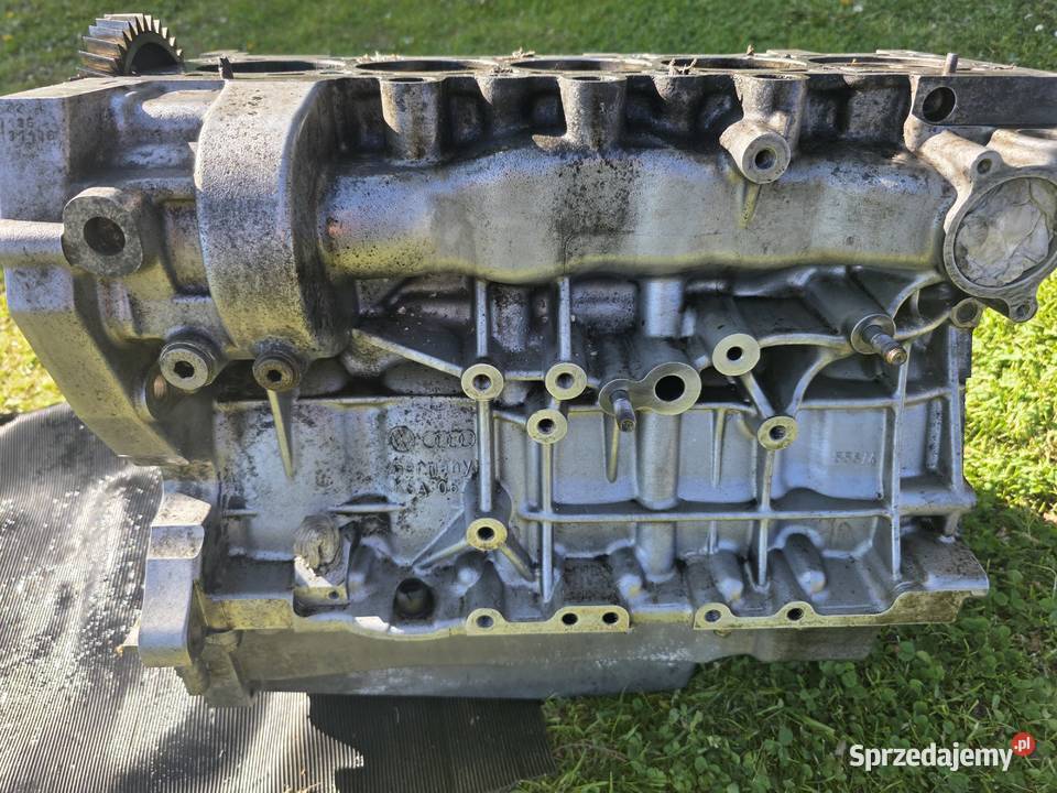 Blok Silnika Vw T5 25 TDI BNZ 070 103 021L Skawina
