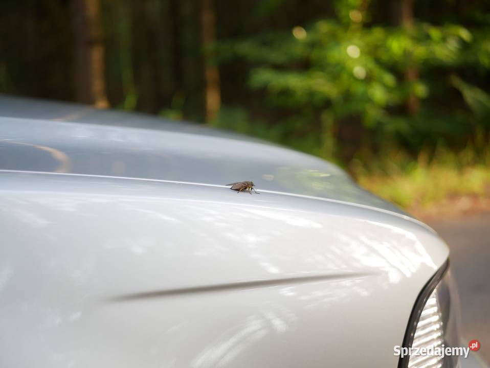 Sprzedam BMW E39 530i z LPG manual bogato zmieniarka CD Przedbórz sprzedam