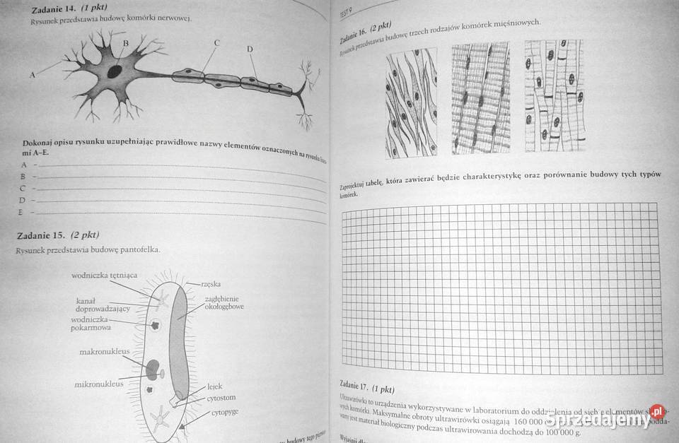 Testy Matura Biologia Sebastian Grabowski Chełm