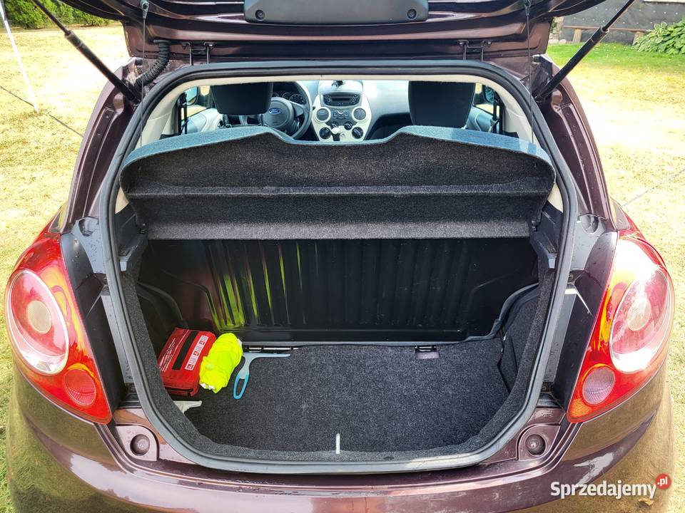 Ford KA 2 2011 Silnik 12 69 lubelskie sprzedam