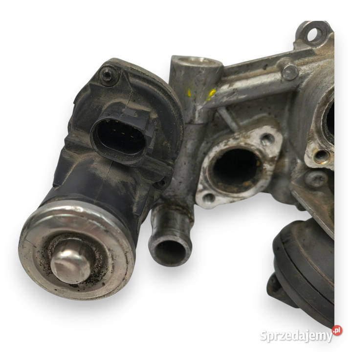 CHŁODNICA SPALIN egr VW Audi A3 8P Passat B7 16 Chełm
