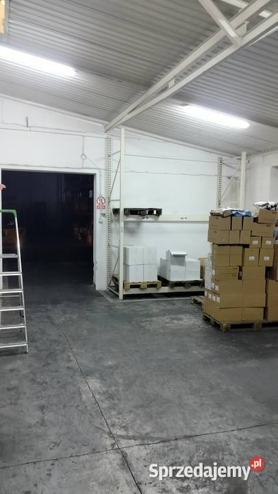 Wynajmę halę w Redzie Pieleszewo 520m2 Wynajem Reda
